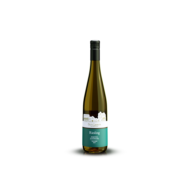 2020 Riesling trocken